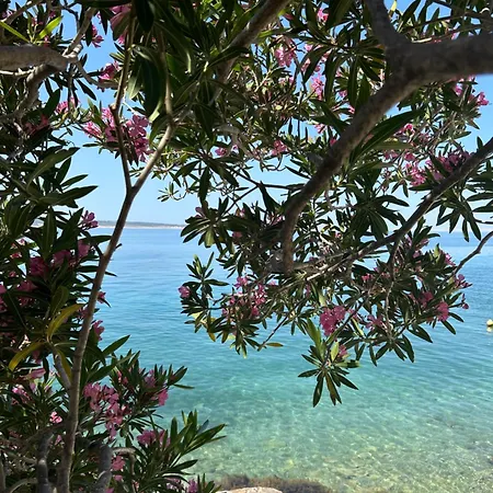 Nadalina 9 Starigrad Paklenica