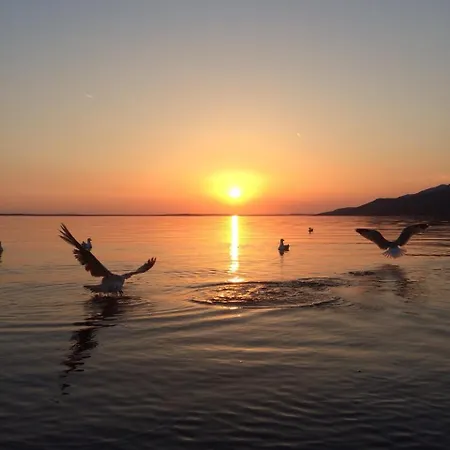 Nadalina 9 * Starigrad Paklenica